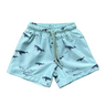 Boy's Swim Shorts - HoneyBug 