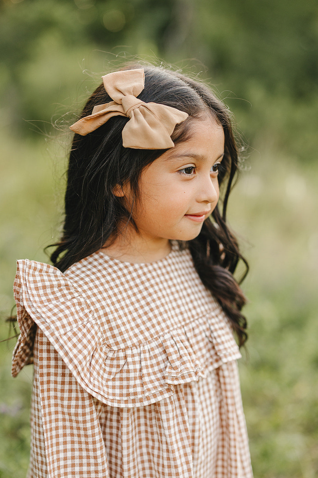 Gingham Ruffle Dress - HoneyBug 