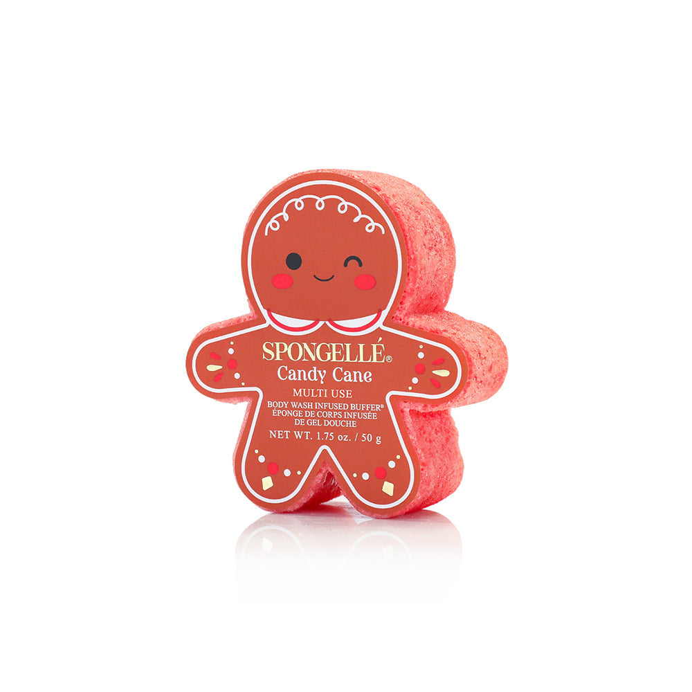 Holiday Gingerbread Multi-Use Assorted Pack - HoneyBug 