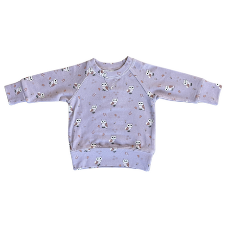 Girl's Raglan Sweatshirt - HoneyBug 