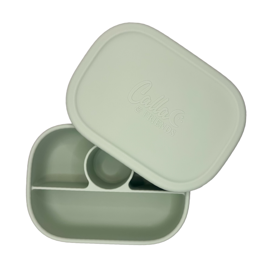 Hayden Bento Box - Petunia Pink