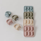 Silicone Fruit Feeder & Ice Tray Set