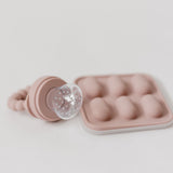 Silicone Fruit Feeder & Ice Tray Set