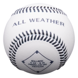 All Weather Ballistic Practice Baseball - HoneyBug 