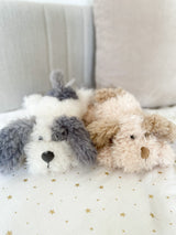 Bogart Puppy - HoneyBug 