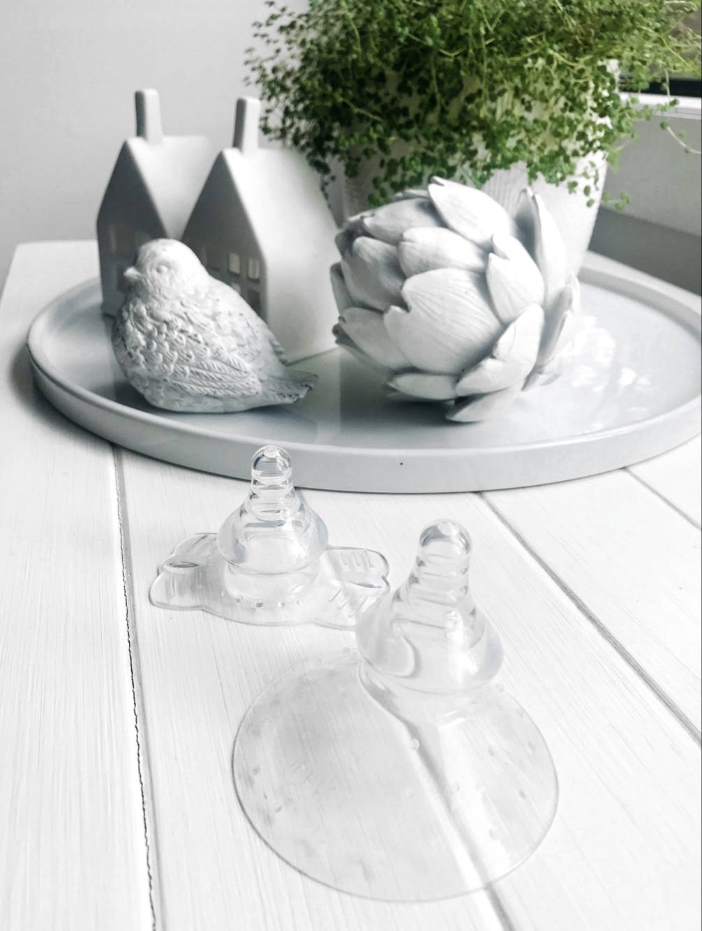 Haakaa Silicone Breastfeeding Nipple Shield, Round Shape 1 pk - HoneyBug 