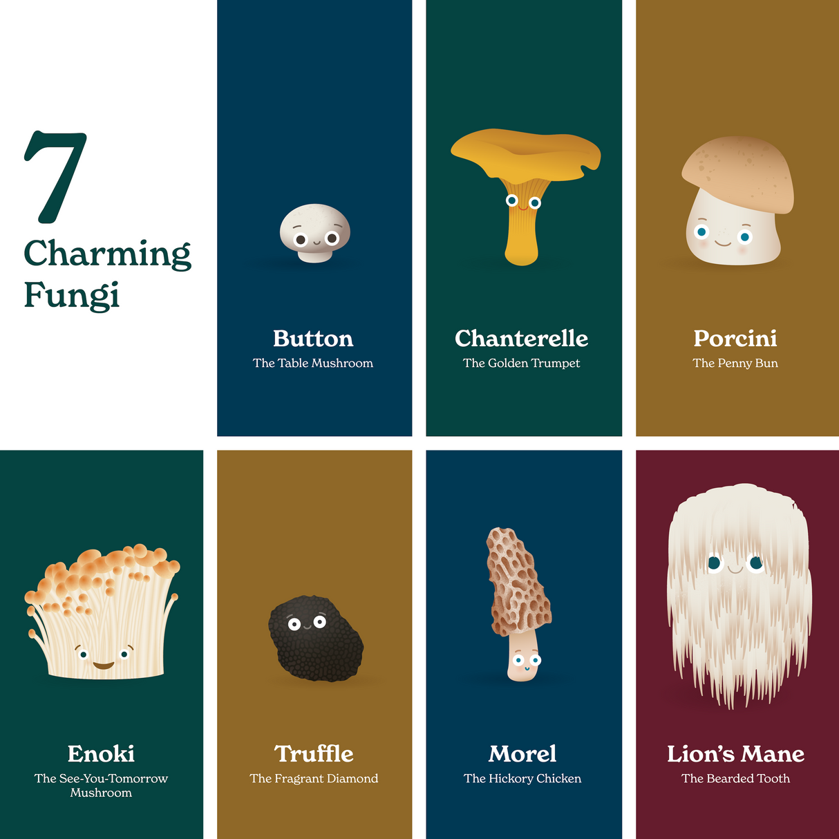 Little Book of Fungi - HoneyBug 