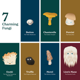 Little Book of Fungi - HoneyBug 