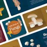 Little Book of Fungi - HoneyBug 