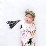 Little Stargazer Petit Milestone Pennants - HoneyBug 