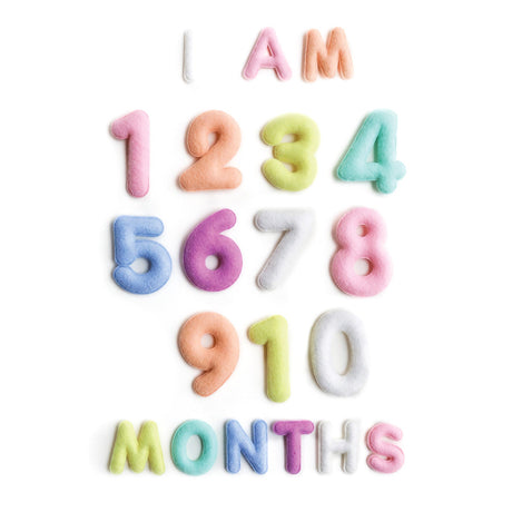 Milestone Felt Numbers in Pastel - HoneyBug 