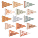 Mountain Fields Petit Milestone Pennant - HoneyBug 