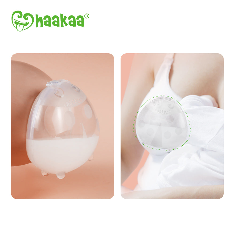Haakaa Ladybug Silicone Milk Collector 2.5 oz/75 ml - HoneyBug 