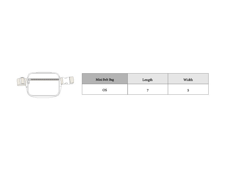 Mini Belt Bag