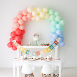 Little Rainbow - Birthday Party Supplies in a Box - HoneyBug 