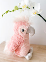 Lulu Cockatoo - HoneyBug 