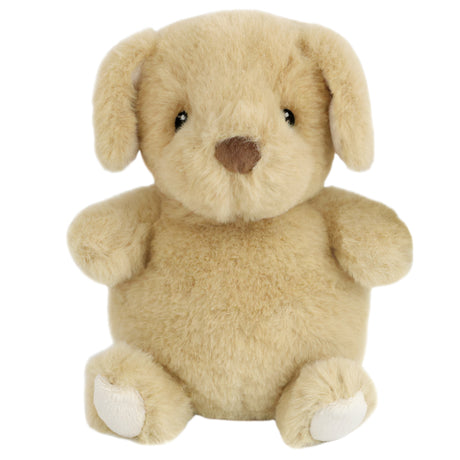 Jake Petit Puppy - HoneyBug 