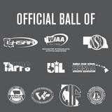 Perfection Thermo Soccer Ball - HoneyBug 