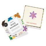 Spice Rainbow Art Cards - HoneyBug 