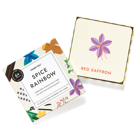 Spice Rainbow Art Cards - HoneyBug 