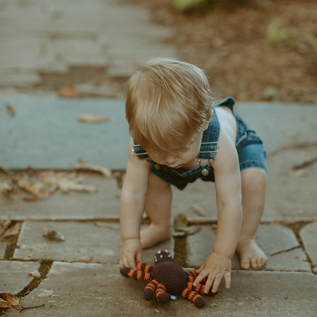 Halloween Toy Spider Rattle - HoneyBug 