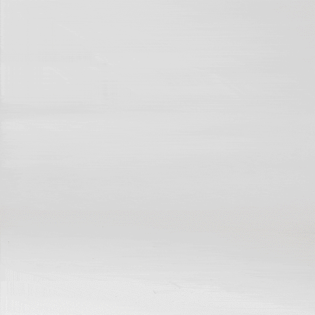 Polar Animals - HoneyBug 