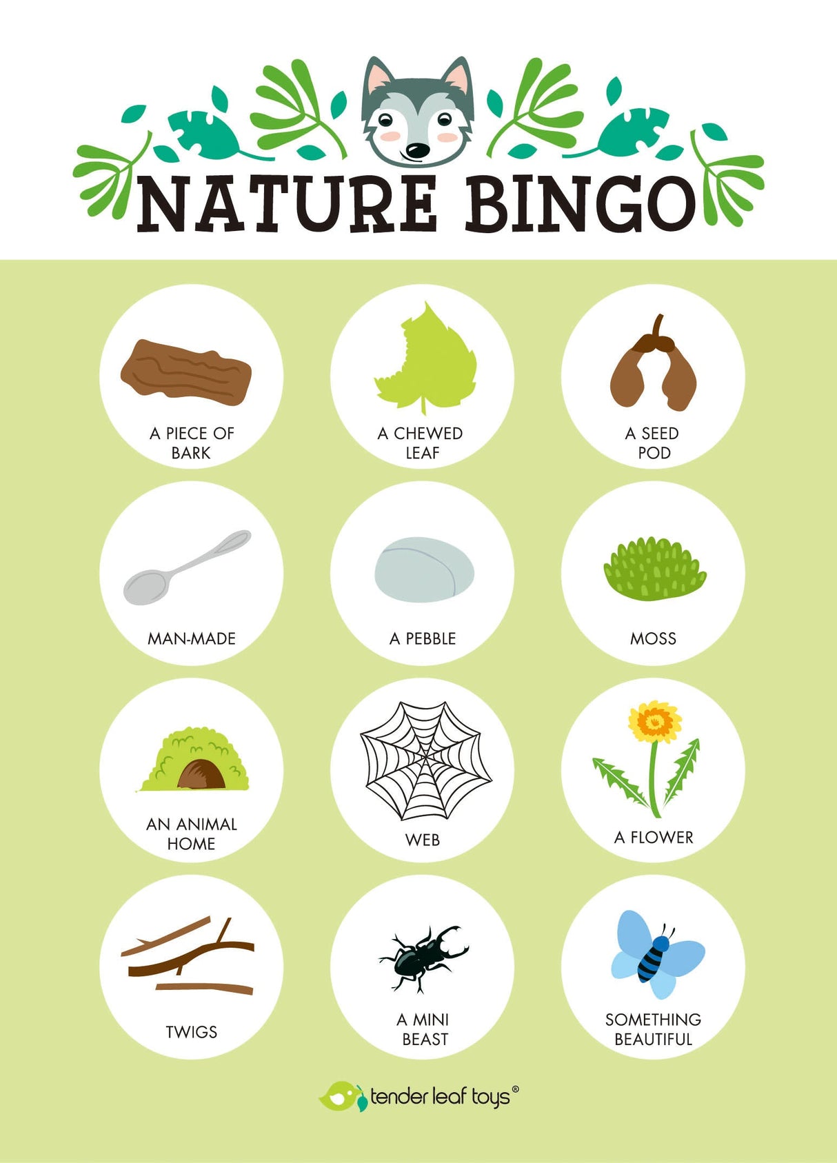 Forest Trail Kit - HoneyBug 