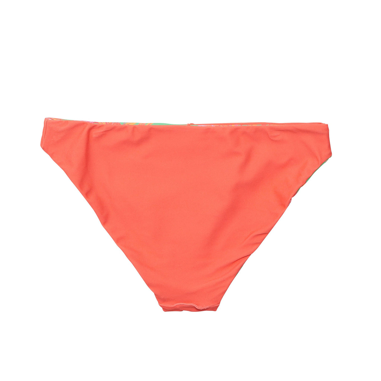 Womens Coastal Shells Sustainable Bikini Bottom - HoneyBug 