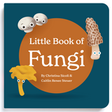 Little Book of Fungi - HoneyBug 