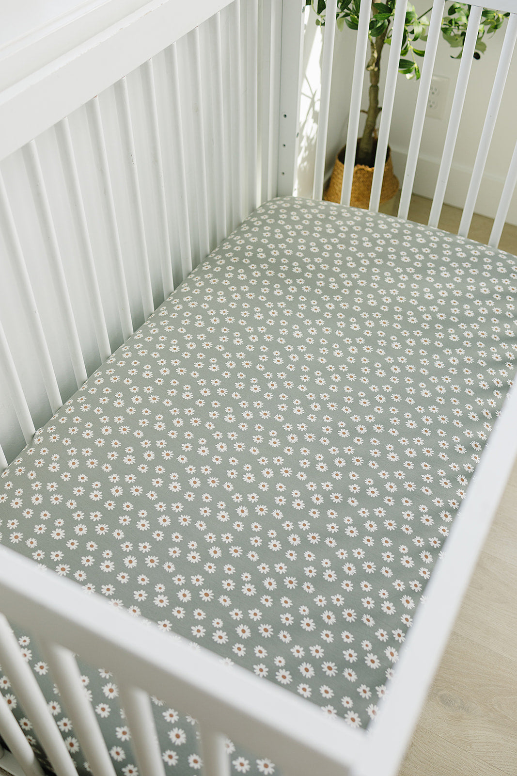 Light Green Daisy Bamboo Stretch Crib Sheet - HoneyBug 