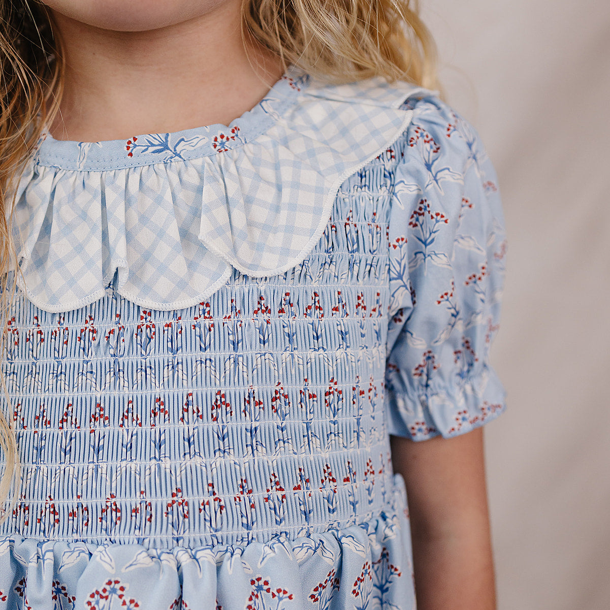 Blue Meadow Dress