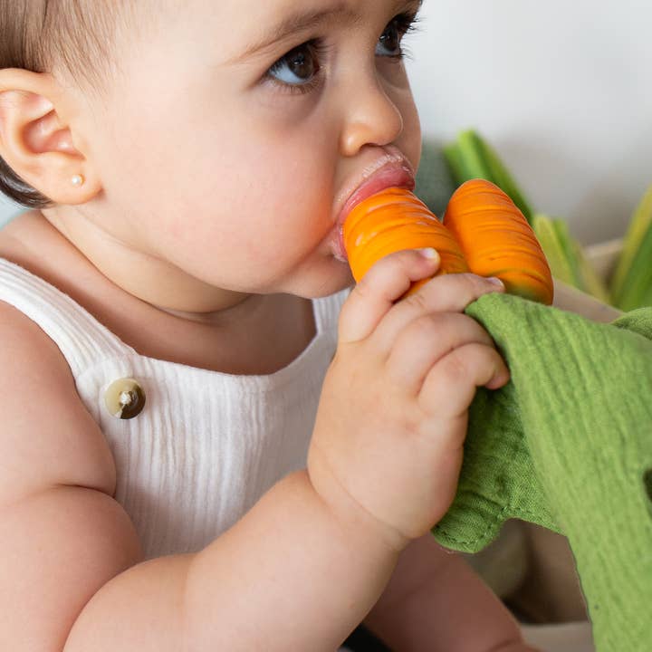 Cathy the Carrot Mini Doudou Teether - HoneyBug 