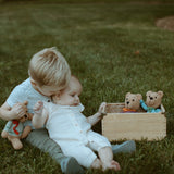 Teddy Bear Rattle - HoneyBug 