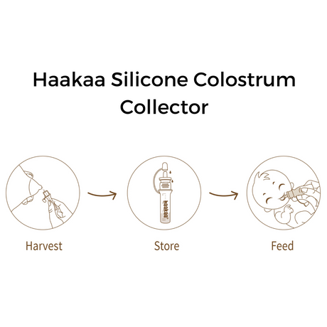 Haakaa Silicone Colostrum Collectors 4 ml, 1 PK (Pre-Sterilized) - HoneyBug 