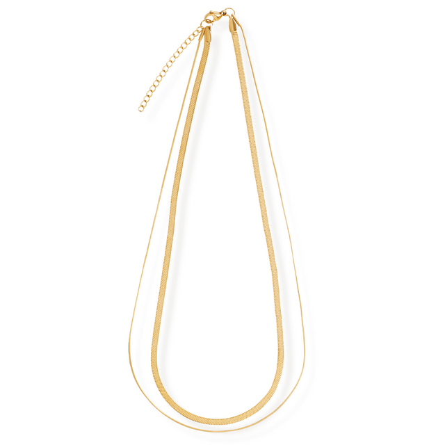 Cassia Double Chain Necklace - HoneyBug 