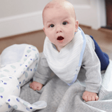 Popsicle and Stripes Blue 2 Pack Muslin & Terry Cloth Bib Set - HoneyBug 