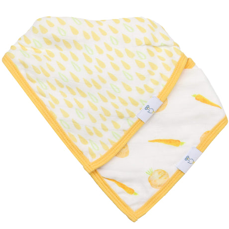 Carrots and Shapes Orange 2 Pack Muslin & Terry Cloth Bib Set - HoneyBug 