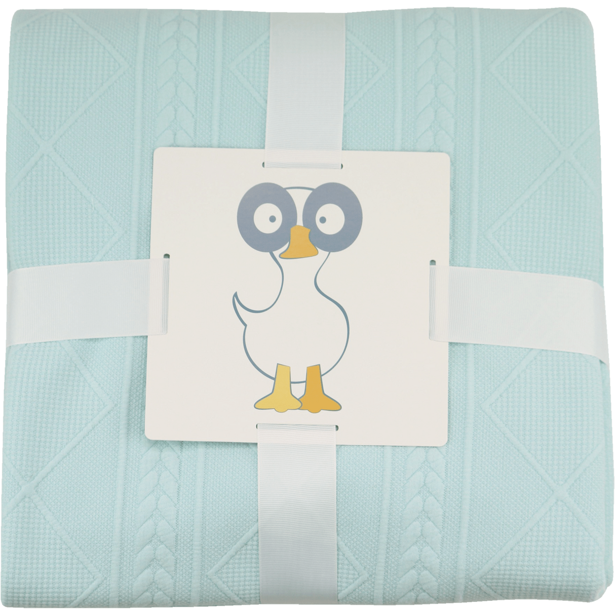 Mint 50" x 60" Full Size Knit Throw - HoneyBug 