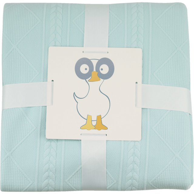 Mint 50" x 60" Full Size Knit Throw - HoneyBug 