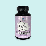 Lactation Support for Breastfeeding - HoneyBug 