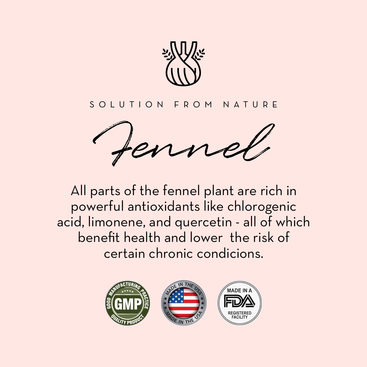 Breastfeeding Bundle - HoneyBug 