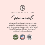 Breastfeeding Bundle - HoneyBug 