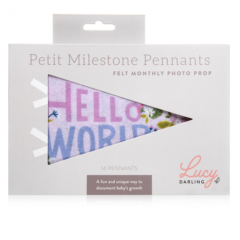 Little Artist Petit Milestone Pennants - HoneyBug 