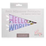 Little Artist Petit Milestone Pennants - HoneyBug 