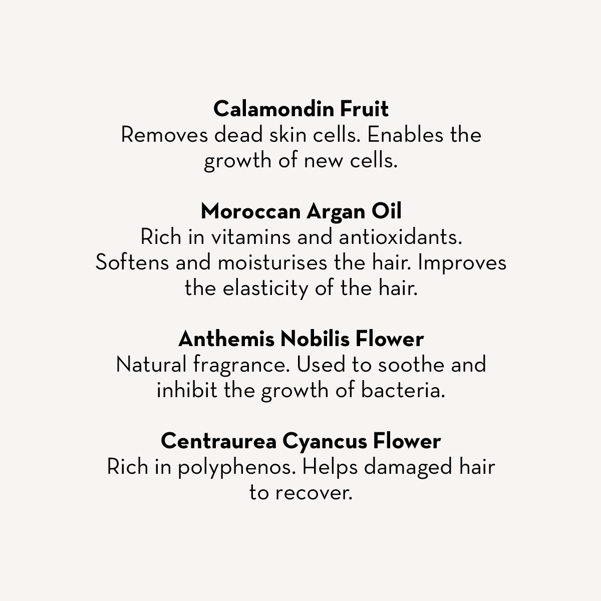 Hair Mask & Scalp Treatment + Shampoo - HoneyBug 