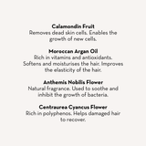 Hair Mask & Scalp Treatment + Shampoo - HoneyBug 