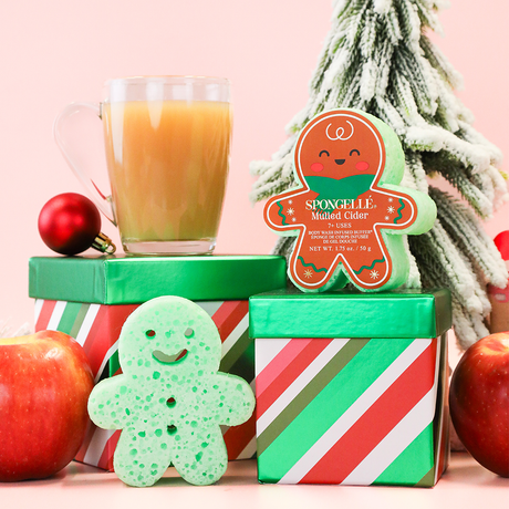 Mulled Cider | Holiday Gingerbread - HoneyBug 