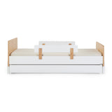 Fun Bed - Twin Bed - HoneyBug 