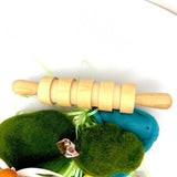 Pixie Hollow, A Fairy Playdough Kit