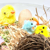 Spring Garden, Play Set with Lentils